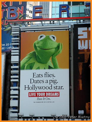 Times Square - Kermit