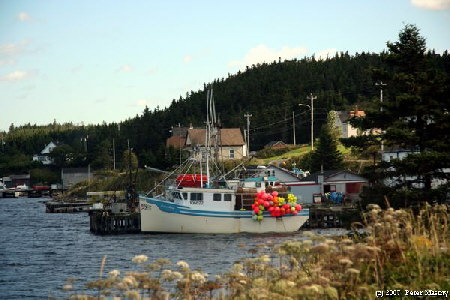 Fischerboote in Louisbourg