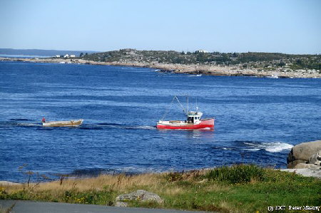 Hummerfischer in der St. Margarets  Bay