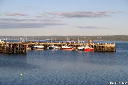 Digby Harbor